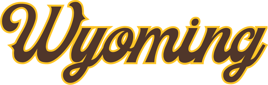 Wyoming Cowboys 2022-Pres Wordmark Logo v2 diy DTF decal sticker